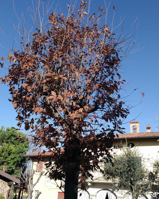Cascina Corteprimavera, B&B Del Baliot Passirano Eksteriør bilde