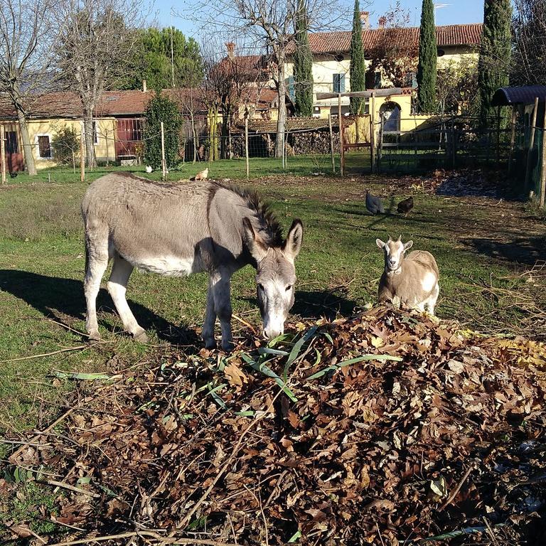 Cascina Corteprimavera, B&B Del Baliot Passirano Eksteriør bilde