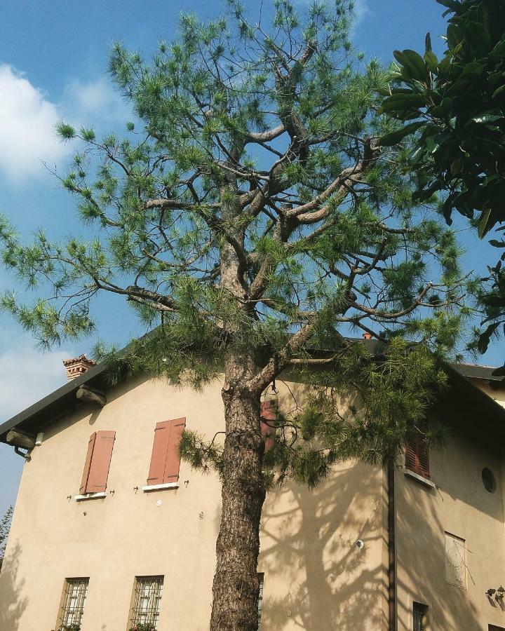 Cascina Corteprimavera, B&B Del Baliot Passirano Eksteriør bilde